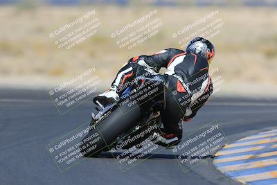 media/May-13-2023-SoCal Trackdays (Sat) [[8a473a8fd1]]/Turn 11 Backside (945am)/